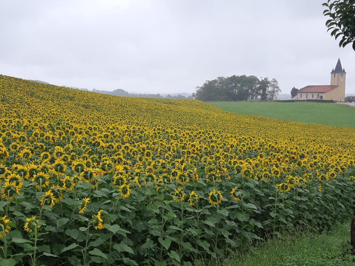 Gite L'Ecureuil*** Mouscardes Esterno foto
